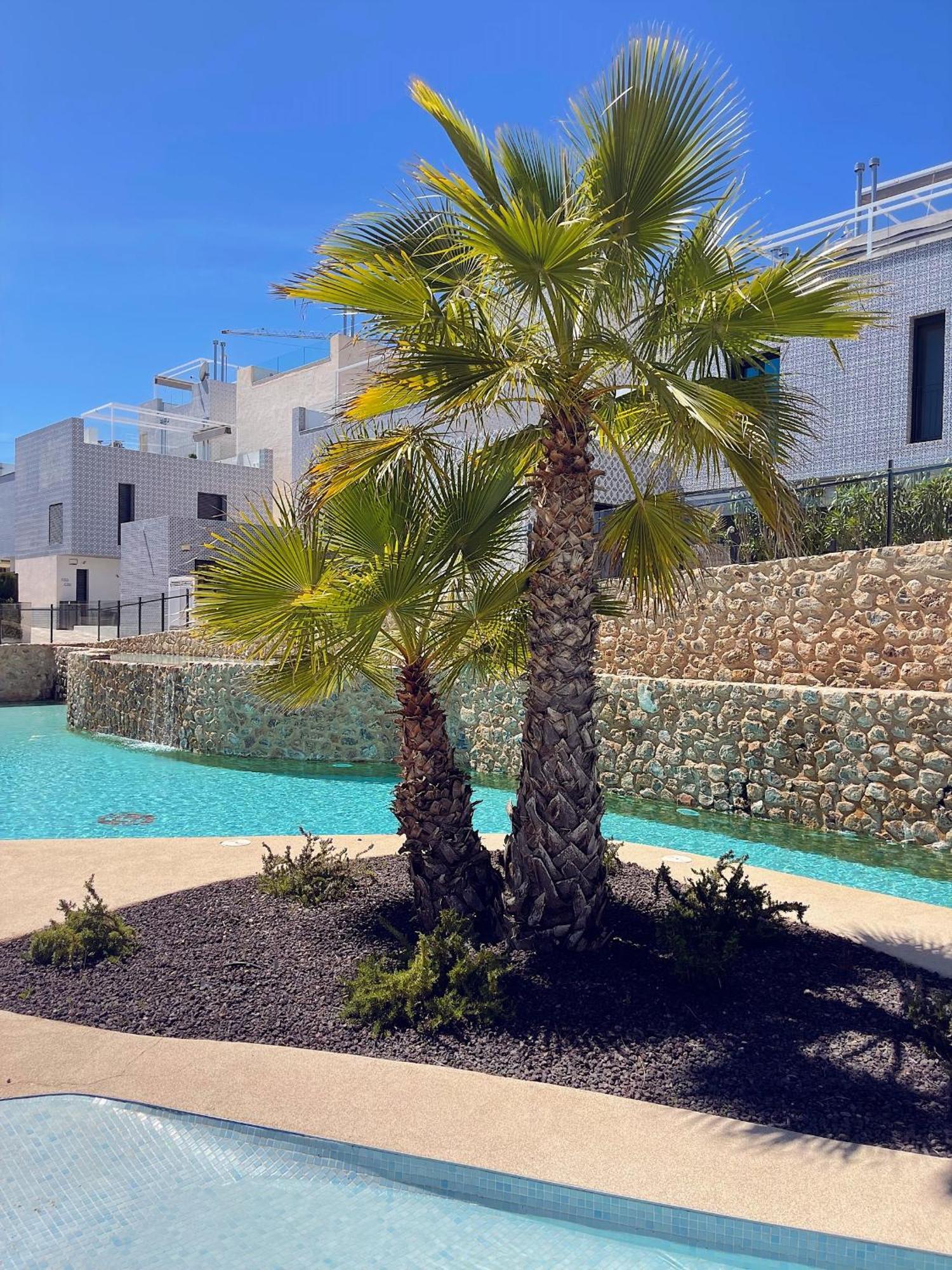Salinas Lagoon - Penthouse With Swimming Lagoon, Quiet Community, Playstation, Near Golf San Miguel De Salinas Bagian luar foto